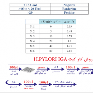 h.pylori IgA