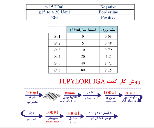 h.pylori IgA